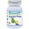 Aegle Plan - Trávenie, Črevá