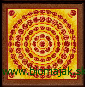 Kvetinová mandala.022