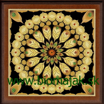 Mandala dynamiky.018