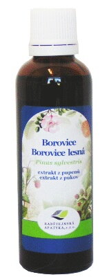 Borovica (50 ml)