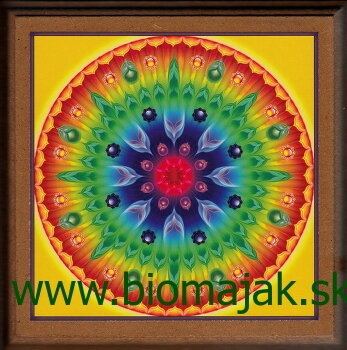 Duhová mandala.097 