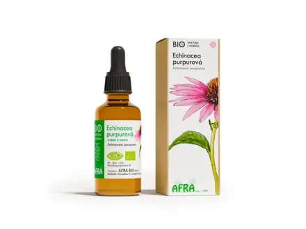 Echinacea tinktúra