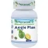 Aegle Plan - Trávenie, Črevá 
