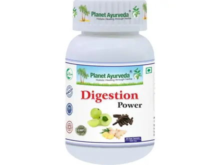 Digestion POWER 60 kapsúl