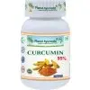 Kurkumín 95