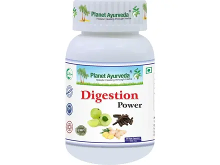 Digestion POWER 60 kapsúl