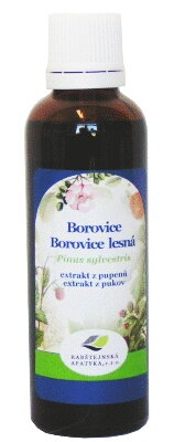 Borovica tinktúra z pukov 50 ml