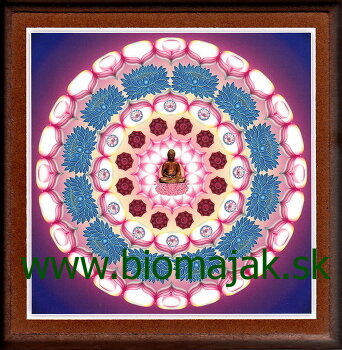 Mandala Buddhu.105