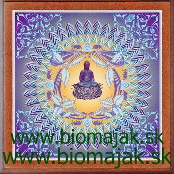 Mandala Budhu.131