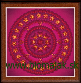 Mandala dôvery.132
