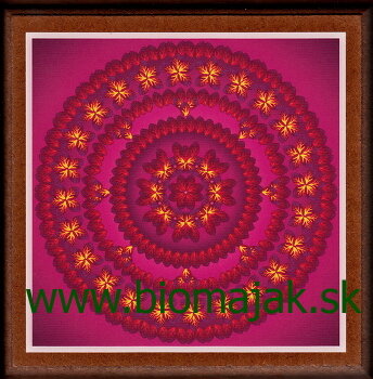 Mandala dôvery.132