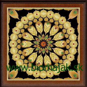 Mandala dynamiky.018