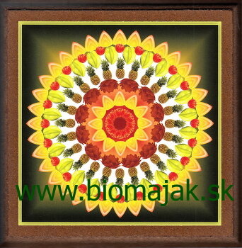 Mandala hojnosti 005