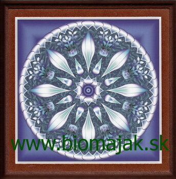 Mandala inšpirácie.079