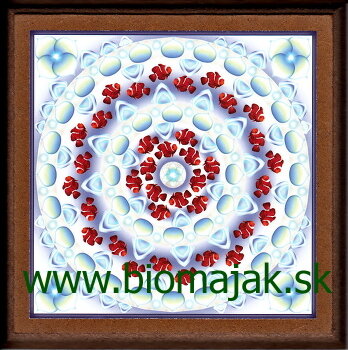 Mandala kariery.029