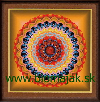 Mandala Lienky 071