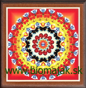 Mandala Lienky.115