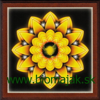 Mandala nádeje 170