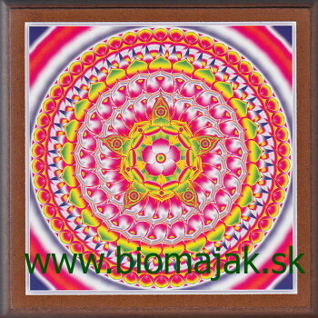 Mandala obnovy 171