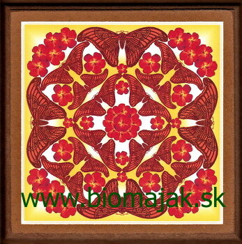 Mandala radosti zo života 156 