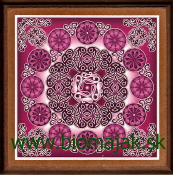 Mandala rozvoja.160