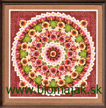 Mandala ruže 142 