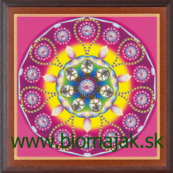 Mandala Shivy 130 