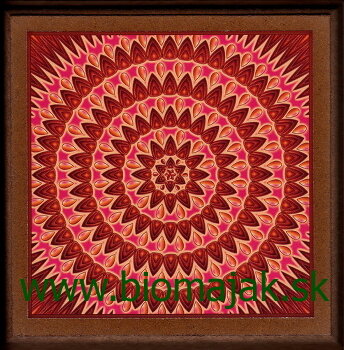 Mandala vnútornej sily.038