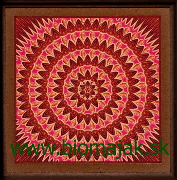 Mandala vnútornej sily.038