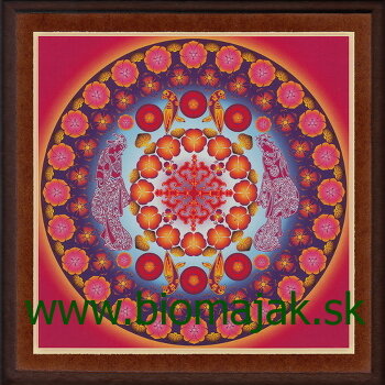 Mandala ženskej krásy.040 