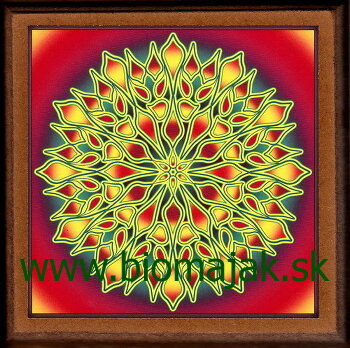 Mandala života 074 