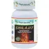 Shilajit MUMIO - Energia, Výdrž, Omladenie 