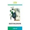 Befungin - čaga