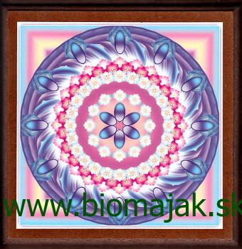  Kvetinová mandala.054