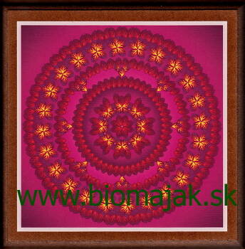 Mandala dôvery.132