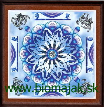 Mandala draka.082