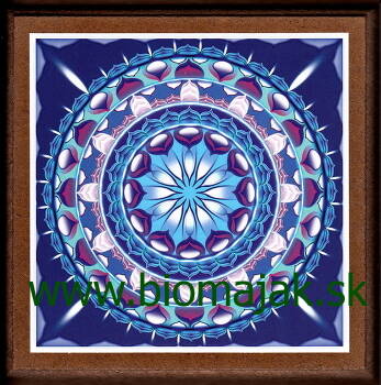 Mandala duševnej práce.015