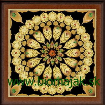 Mandala dynamiky.018