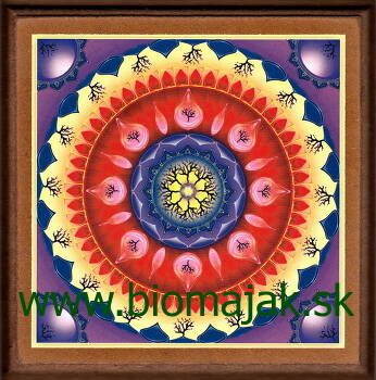 Mandala jednoty neba a zeme 161