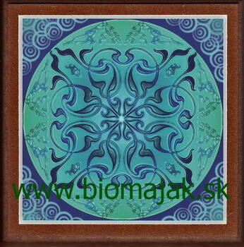 Mandala kariéry.101 