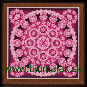 Mandala Lotosu.030