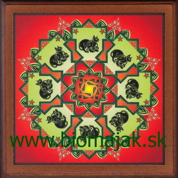 Mandala mačky 173