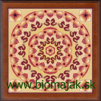Mandala morských koníkov 168