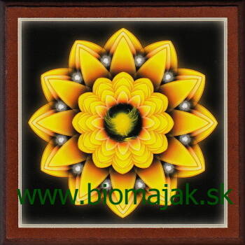Mandala nádeje 170