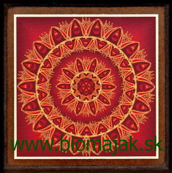 Mandala nadšenia 163