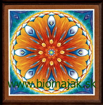 Mandala radosti zo života.011