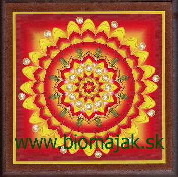 Mandala radosti zo života.114 