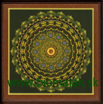 Mandala rozvoja.047