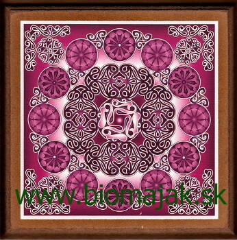 Mandala rozvoja.160
