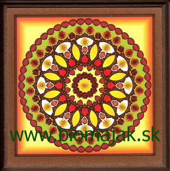 Mandala ruže.089